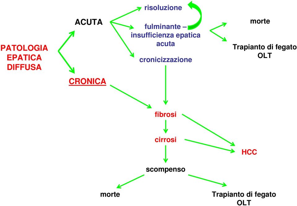 cronicizzazione morte Trapianto di fegato OLT