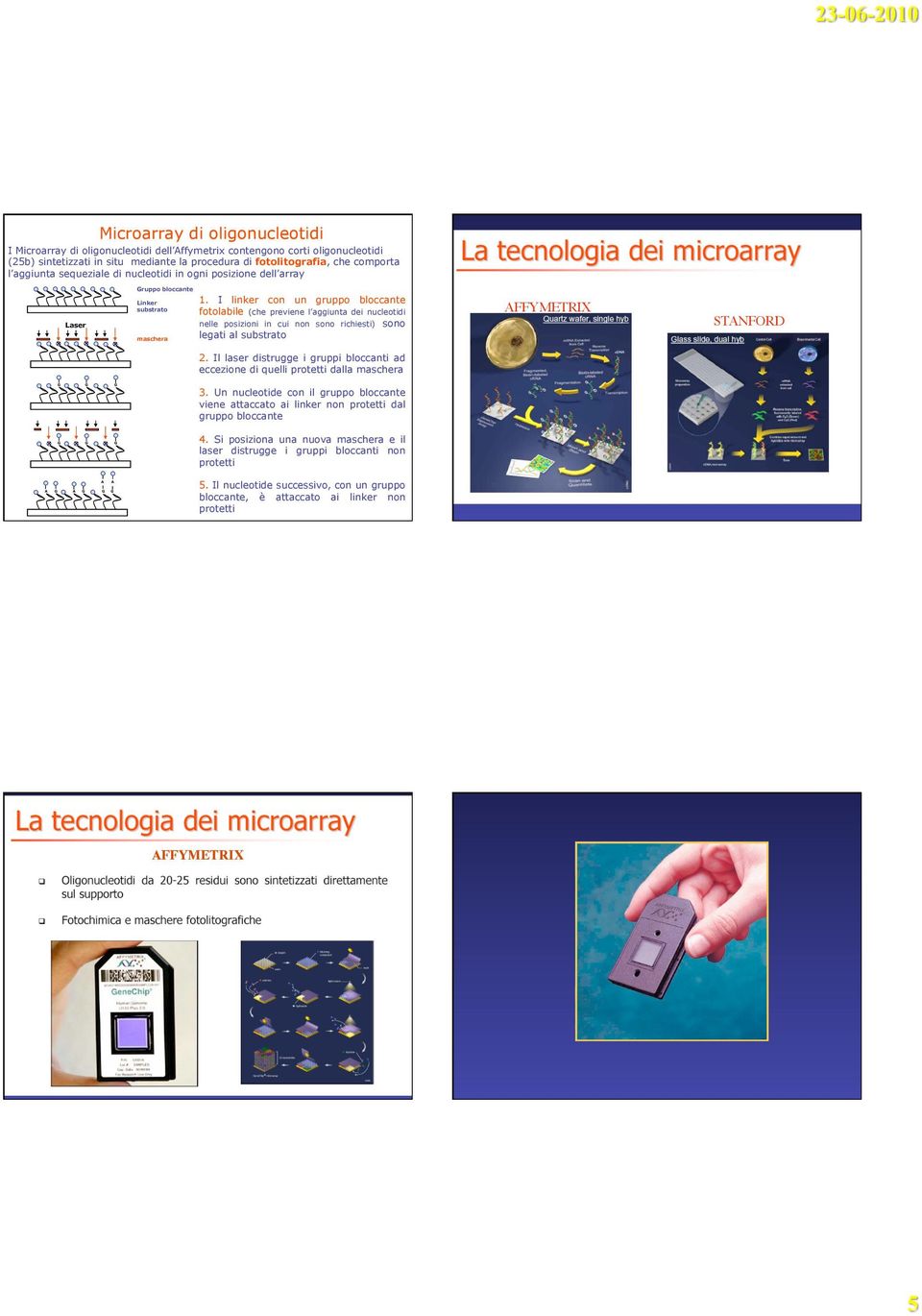 I linker con un gruppo bloccante fotolabile (che previene l aggiunta dei nucleotidi nelle posizioni in cui non sono richiesti) sono legati al substrato AFFYMETRIX STANFORD G G G 2.