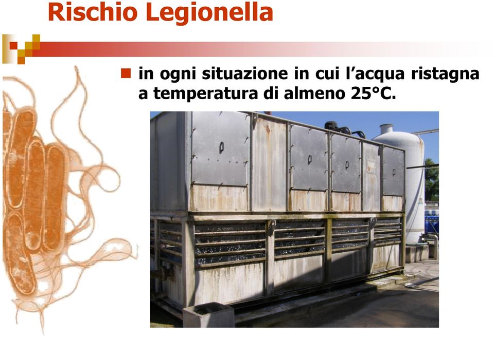 l acqua ristagna a