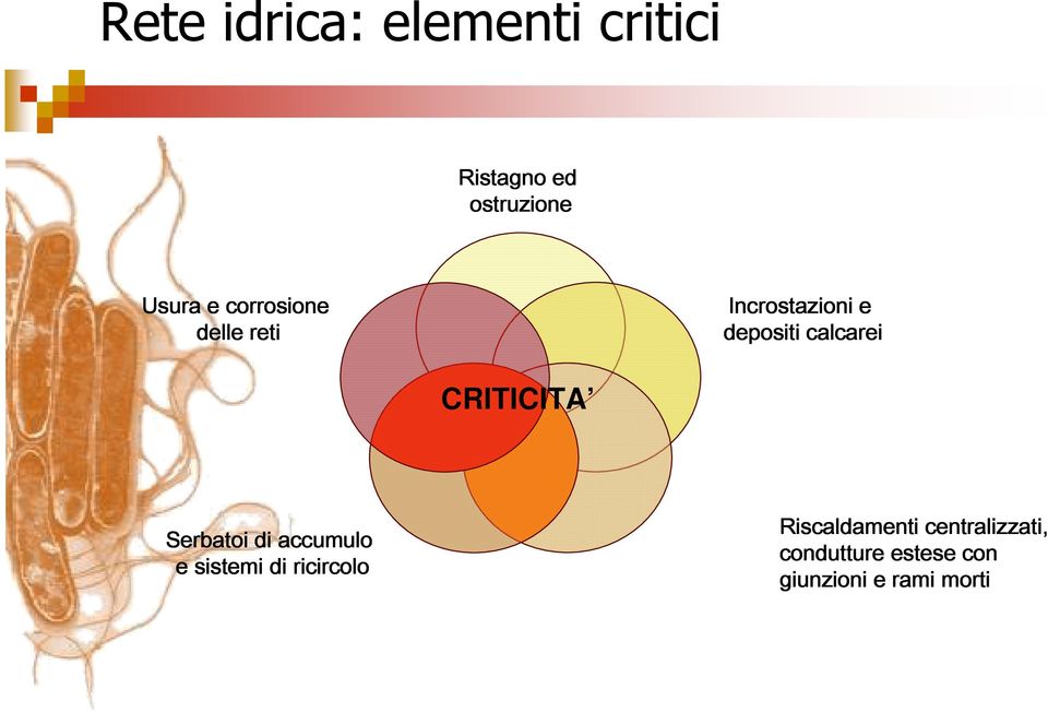 CRITICITA Serbatoi di accumulo e sistemi di ricircolo