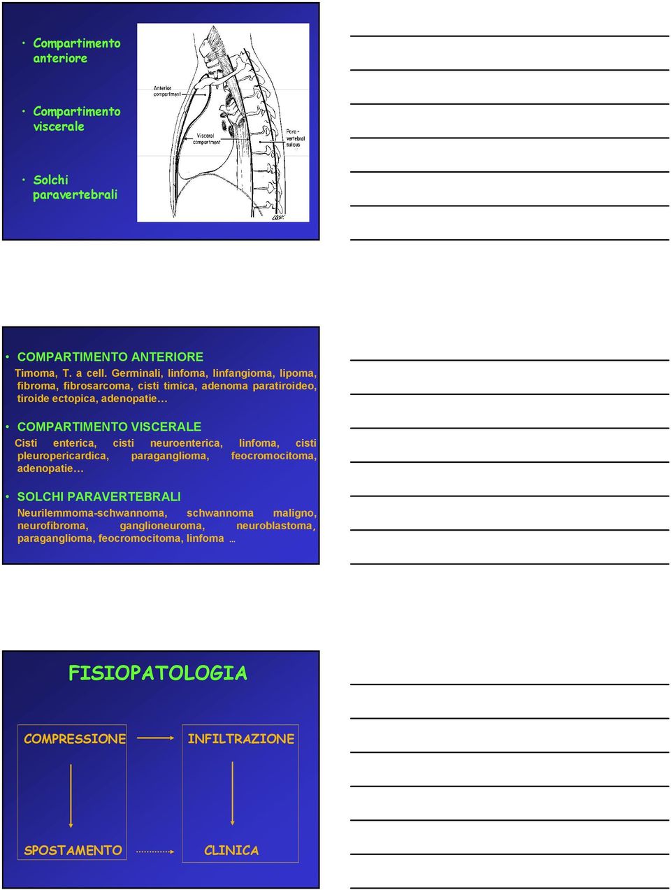 VISCERALE Cisti enterica, cisti neuroenterica, linfoma, cisti pleuropericardica, paraganglioma, feocromocitoma, adenopatie SOLCHI PARAVERTEBRALI