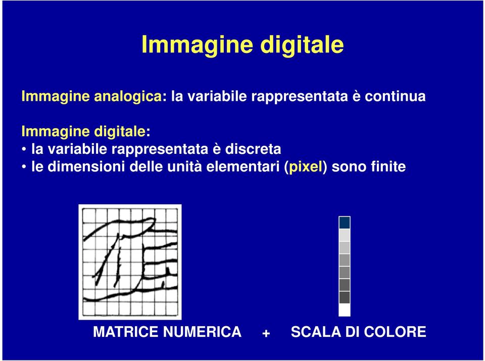 variabile rappresentata è discreta le dimensioni delle