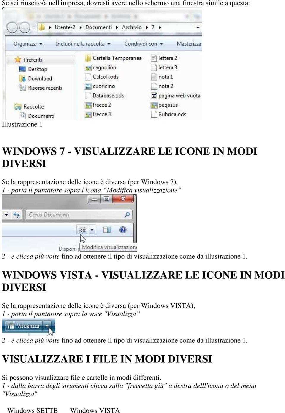 WINDOWS VISTA - VISUALIZZARE LE ICONE IN MODI DIVERSI Se la rappresentazione delle icone è diversa (per Windows VISTA), 1 - porta il puntatore sopra la voce "Visualizza 2 - e clicca più volte fino ad