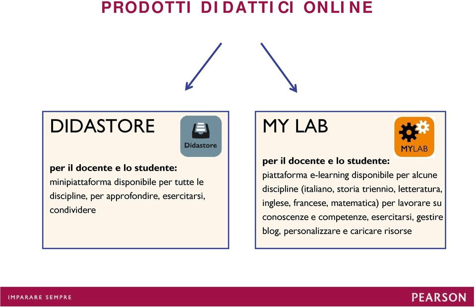 e-learning disponibile per alcune discipline (italiano, storia triennio, letteratura, inglese, francese,