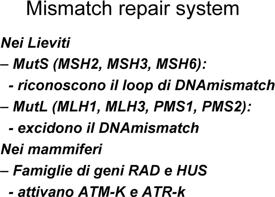 (MLH1, MLH3, PMS1, PMS2): - excidono il DNAmismatch