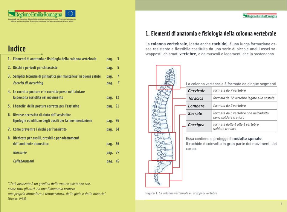Elementi di anatomia e fisiologia della colonna vertebrale pag.