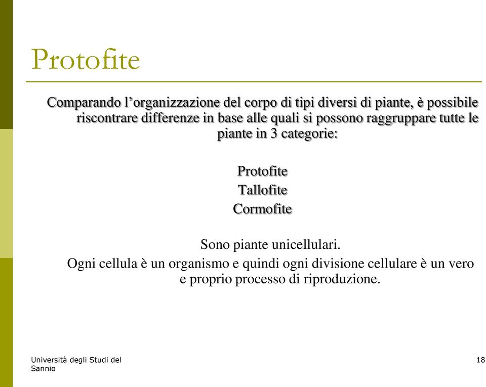categorie: Protofite Tallofite Cormofite Sono piante unicellulari.