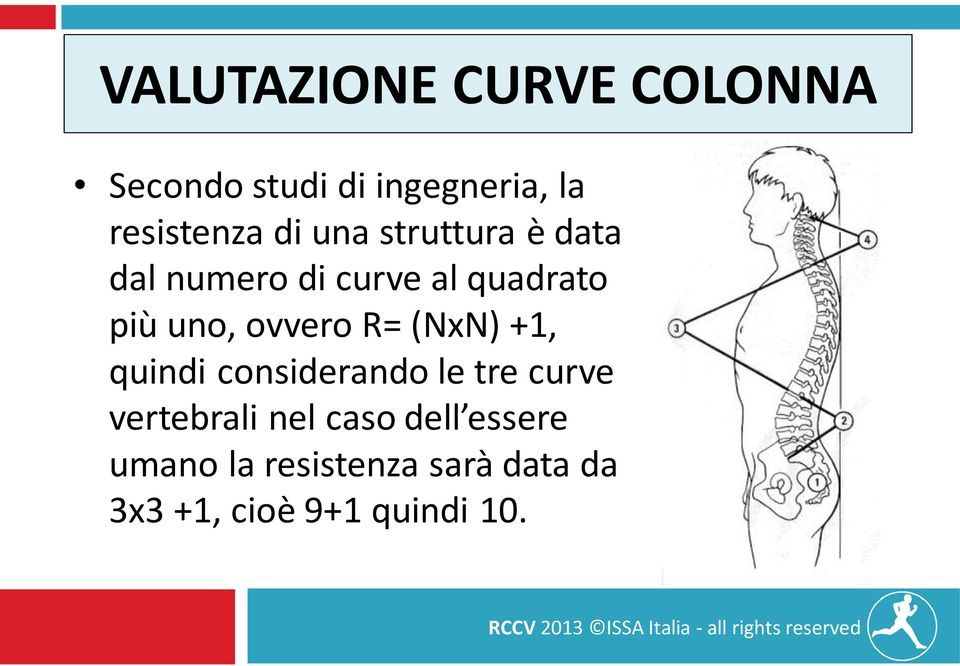 ovvero R= (NxN) +1, quindi considerando le tre curve vertebrali nel