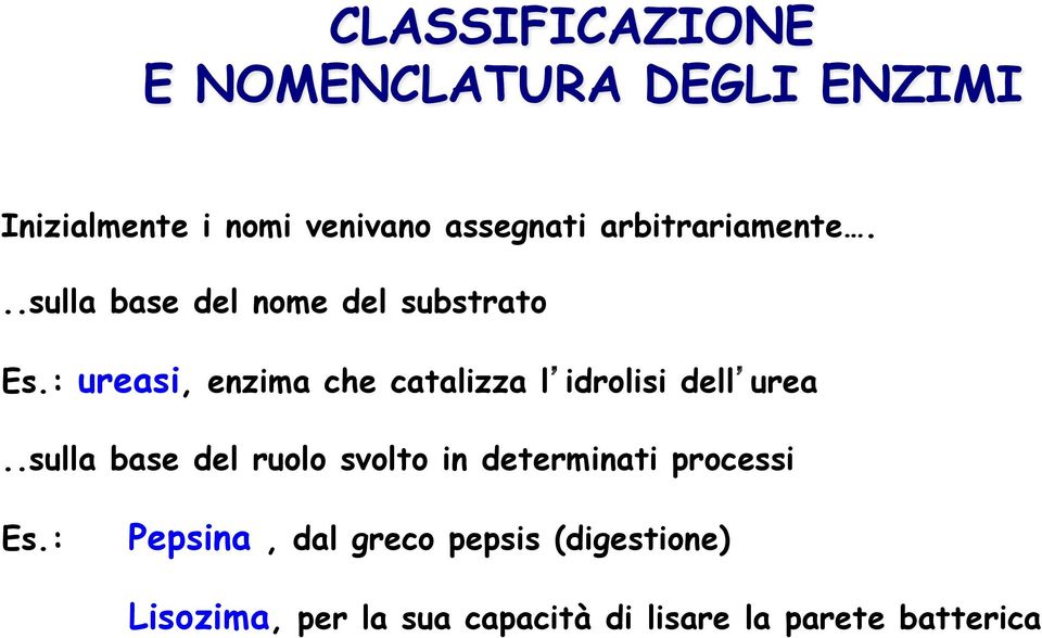 : ureasi, enzima che catalizza l idrolisi dell urea.