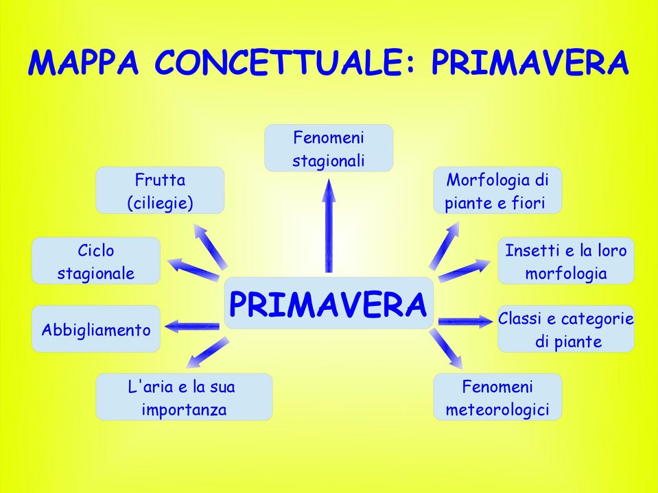 Abbigliamento PRIMAVERA Insetti e la loro morfologia Classi