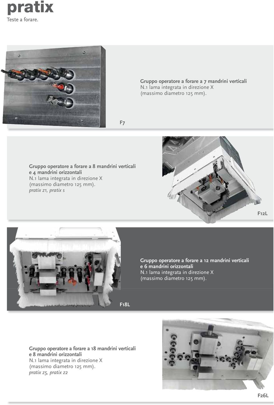 pratix z1, pratix s F12L Gruppo operatore a forare a 12 mandrini verticali e 6 mandrini orizzontali N.