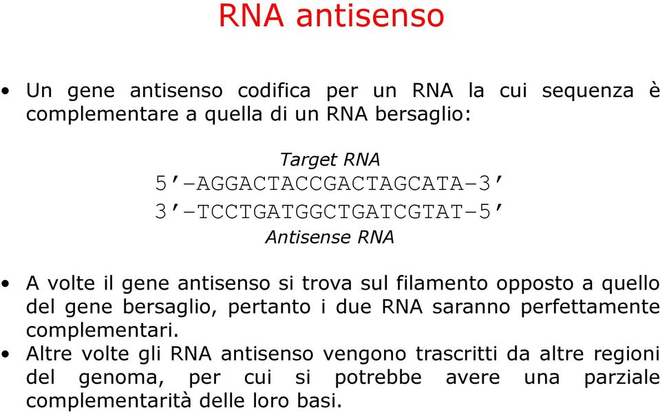 filamento opposto a quello del gene bersaglio, pertanto i due RNA saranno perfettamente complementari.