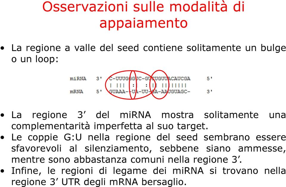 Le coppie G:U nella regione del seed sembrano essere sfavorevoli al silenziamento, sebbene siano ammesse,