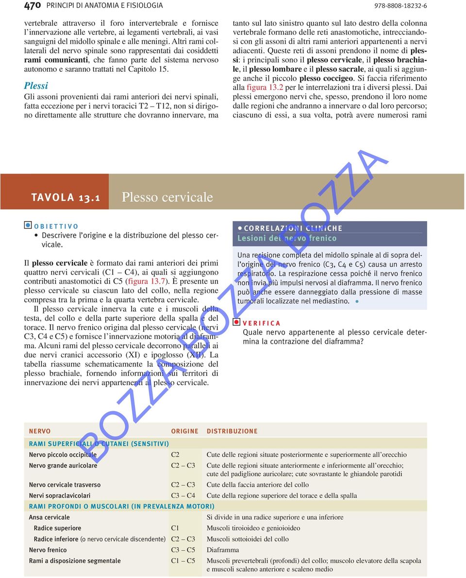 Plessi Gli assoni provenienti dai rami anteriori dei nervi spinali, fatta eccezione per i nervi toracici T2 T12, non si dirigono direttamente alle strutture che dovranno innervare, ma tanto sul lato