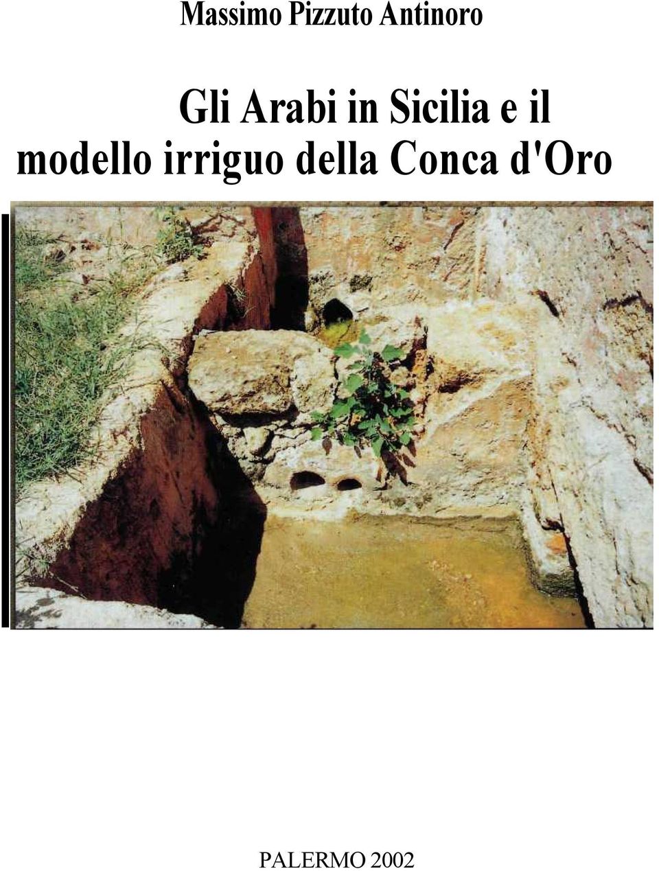 il modello irriguo della