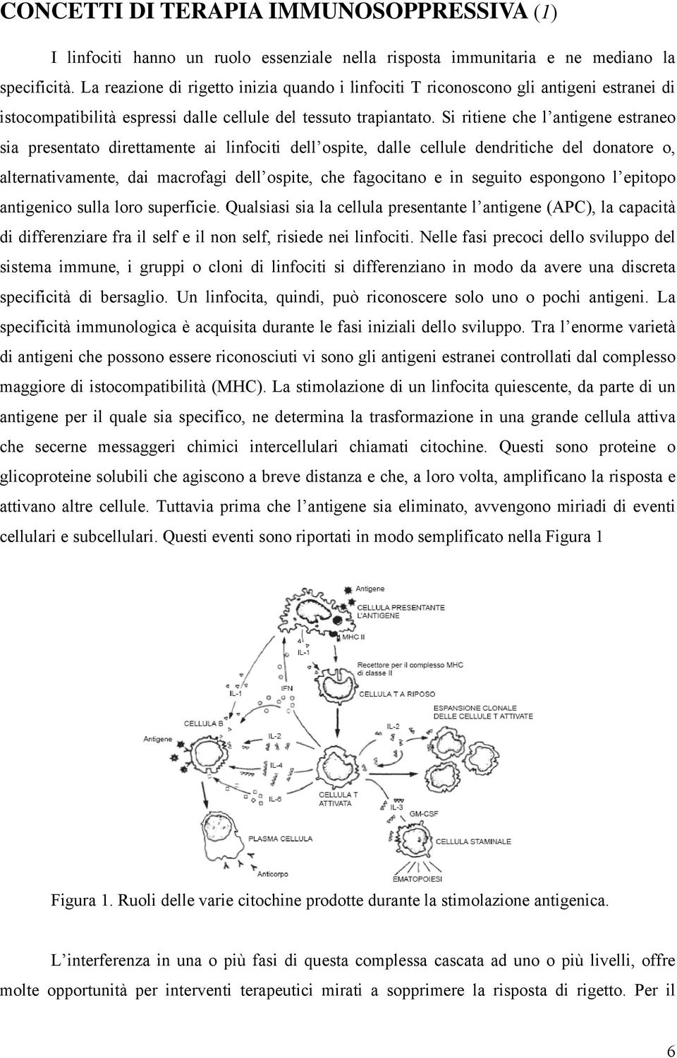 Si ritiene che l antigene estraneo sia presentato direttamente ai linfociti dell ospite, dalle cellule dendritiche del donatore o, alternativamente, dai macrofagi dell ospite, che fagocitano e in