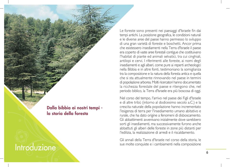 Ancor prima che esistessero insediamenti nella Terra d'israele il paese era coperto di vaste aree forestali contigue che costituivano l'habitat di piante ed animali selvatici, tra cui cinghiali,