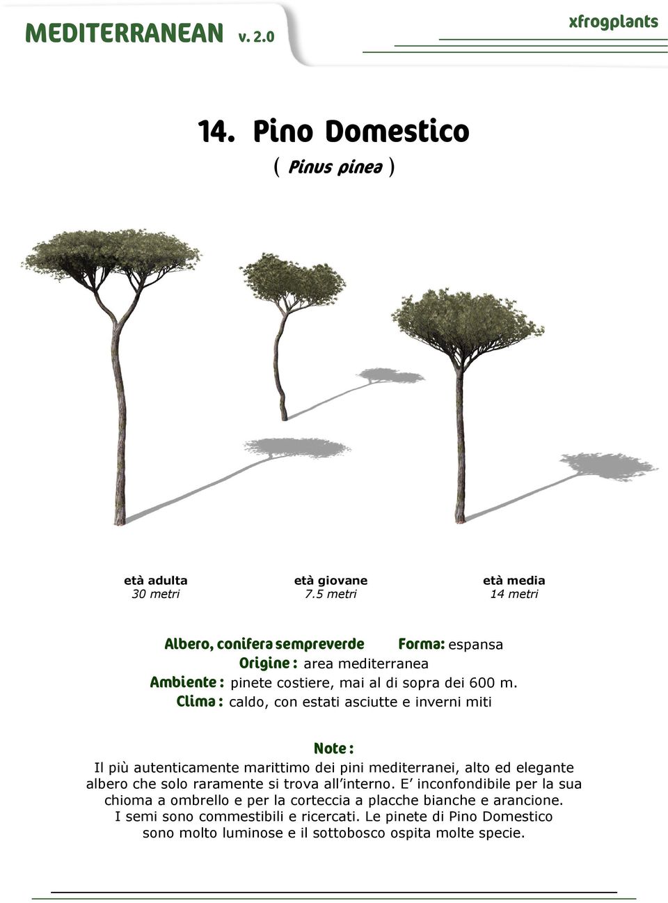 Clima : caldo, con estati asciutte e inverni miti Il più autenticamente marittimo dei pini mediterranei, alto ed elegante albero che solo