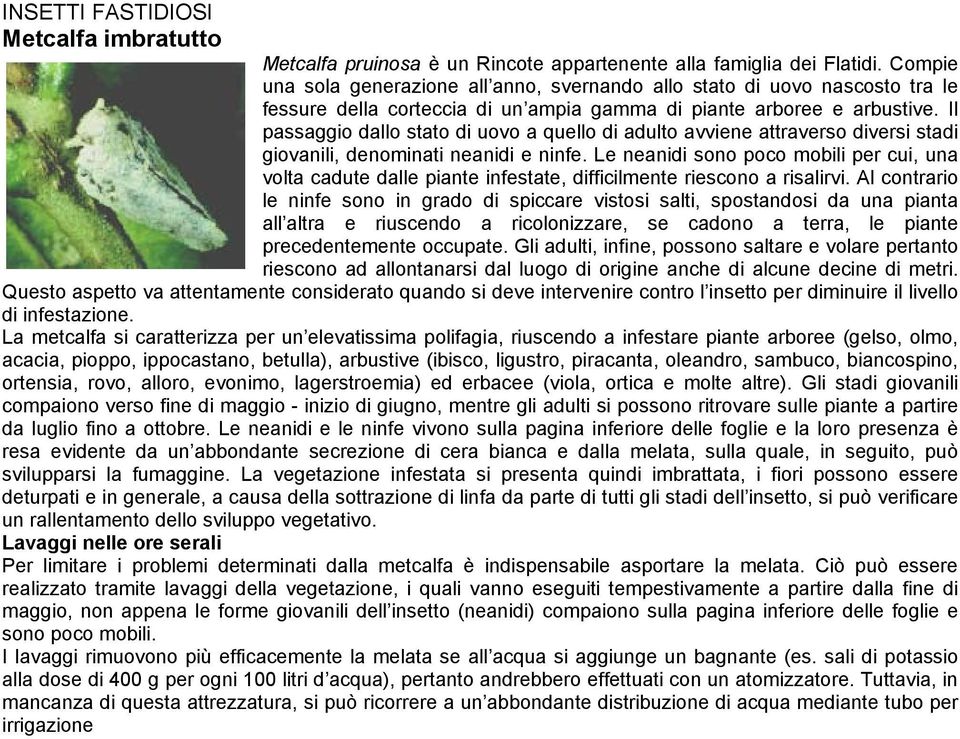 Il passaggio dallo stato di uovo a quello di adulto avviene attraverso diversi stadi giovanili, denominati neanidi e ninfe.