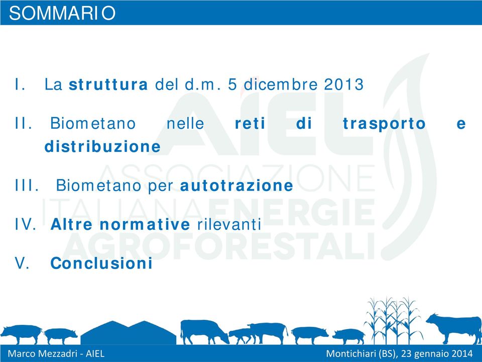 Biometano nelle reti di trasporto e