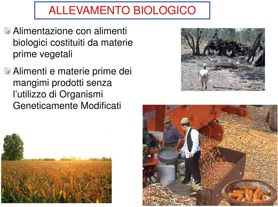 Alimenti e materie prime dei mangimi prodotti