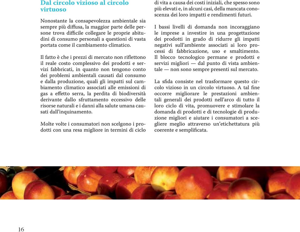 Il fatto è che i prezzi di mercato non riflettono il reale costo complessivo dei prodotti e servizi fabbricati, in quanto non tengono conto dei problemi ambientali causati dal consumo e dalla