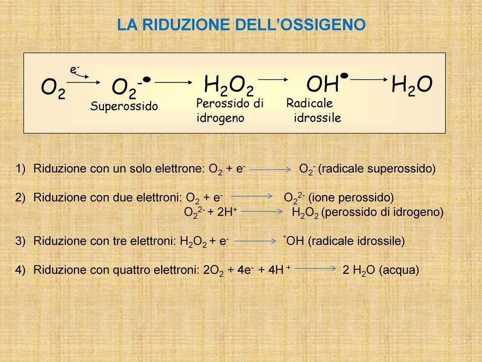 elettroni: O 2 + e - O 2-2 (ione perossido) O 2-2 + 2H + H 2 O 2 (perossido di idrogeno) 3) Riduzione con