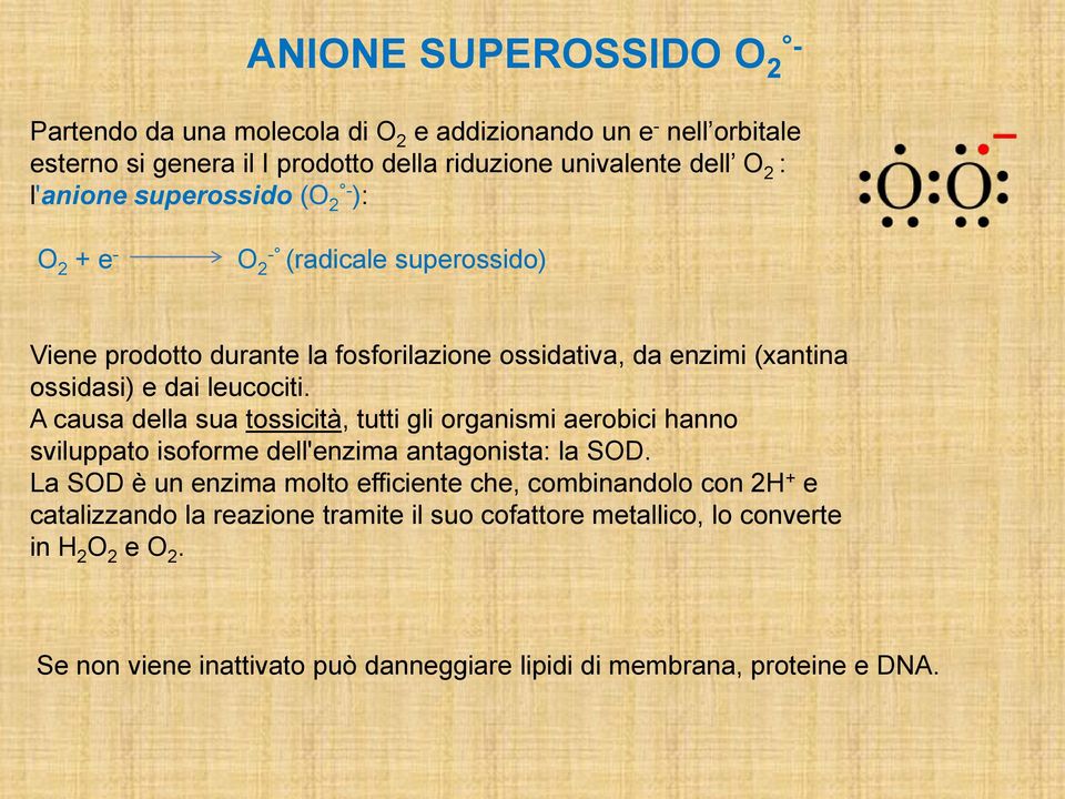 A causa della sua tossicità, tutti gli organismi aerobici hanno sviluppato isoforme dell'enzima antagonista: la SOD.