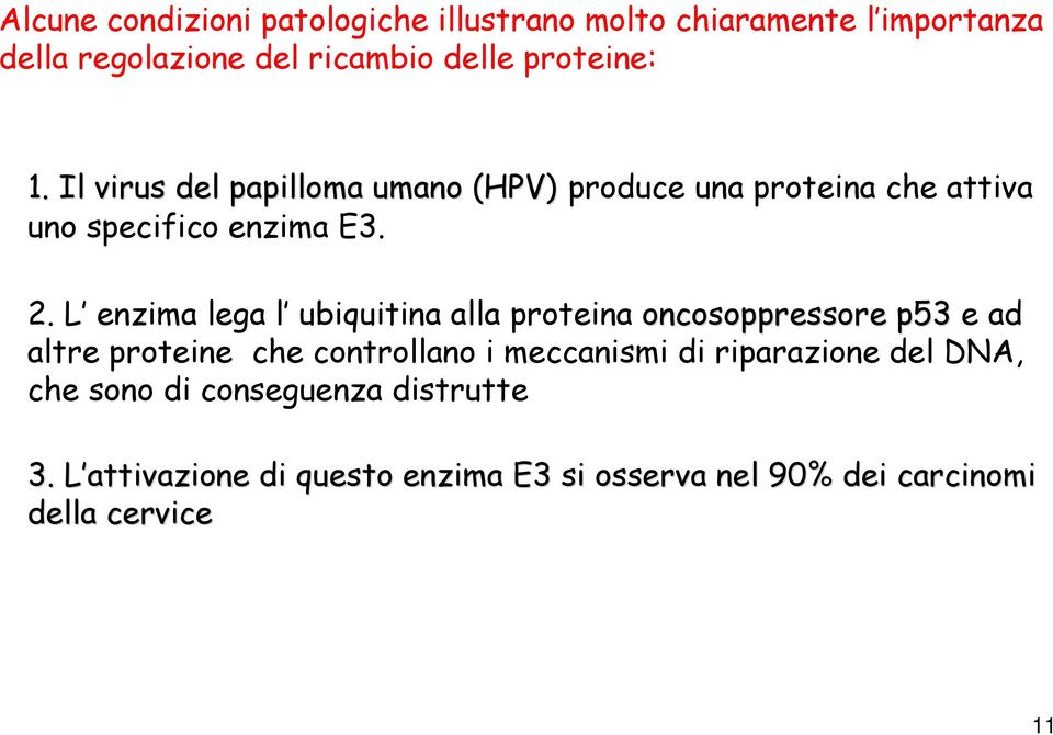 L enzima lega l ubiquitina alla proteina oncosoppressore p53 e ad altre proteine che controllano i meccanismi di