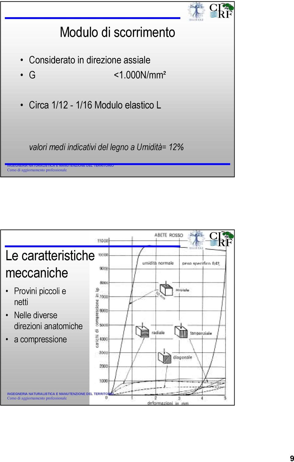 indicativi del legno a Umidità= 12% Le caratteristiche