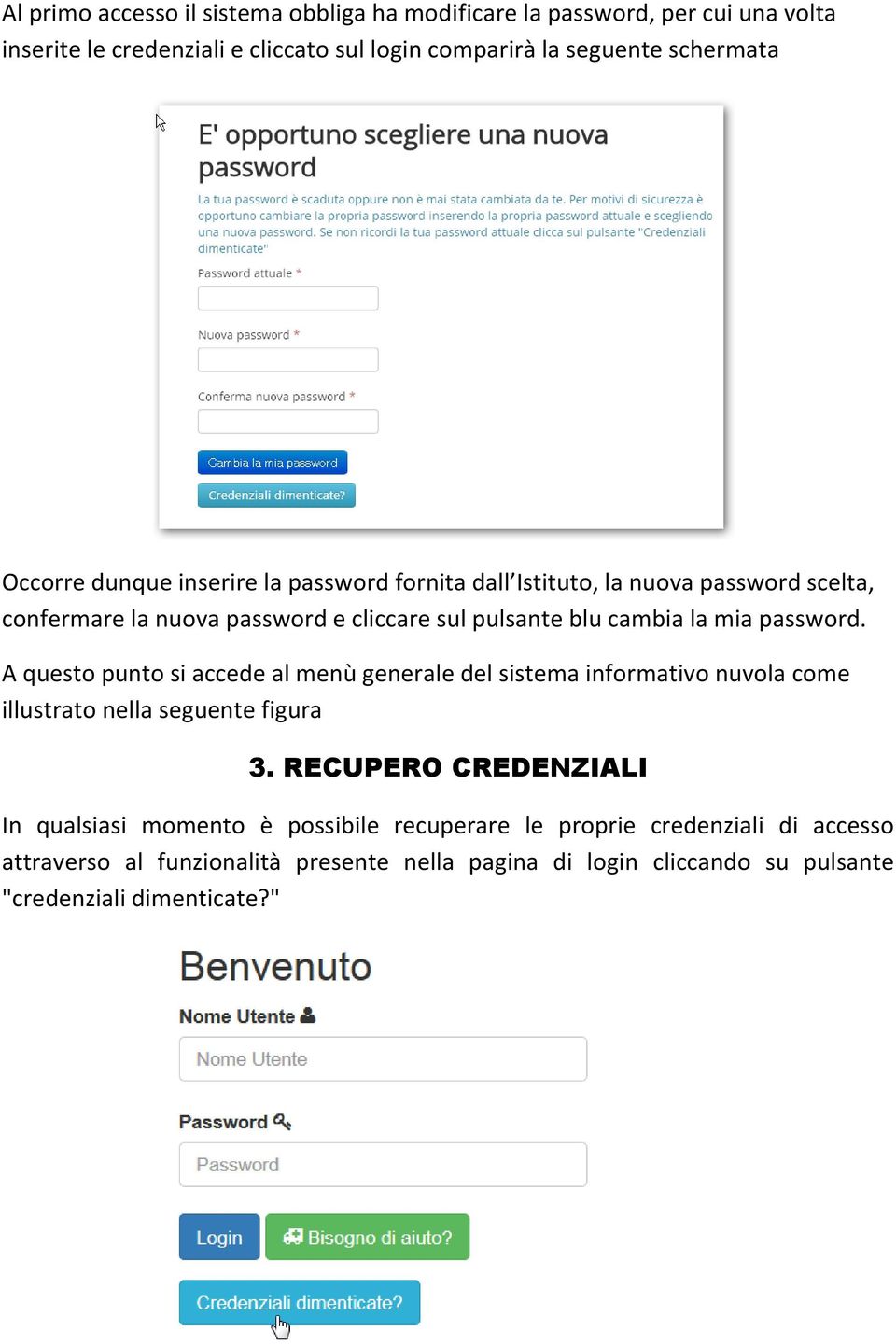 la mia password. A questo punto si accede al menù generale del sistema informativo nuvola come illustrato nella seguente figura 3.