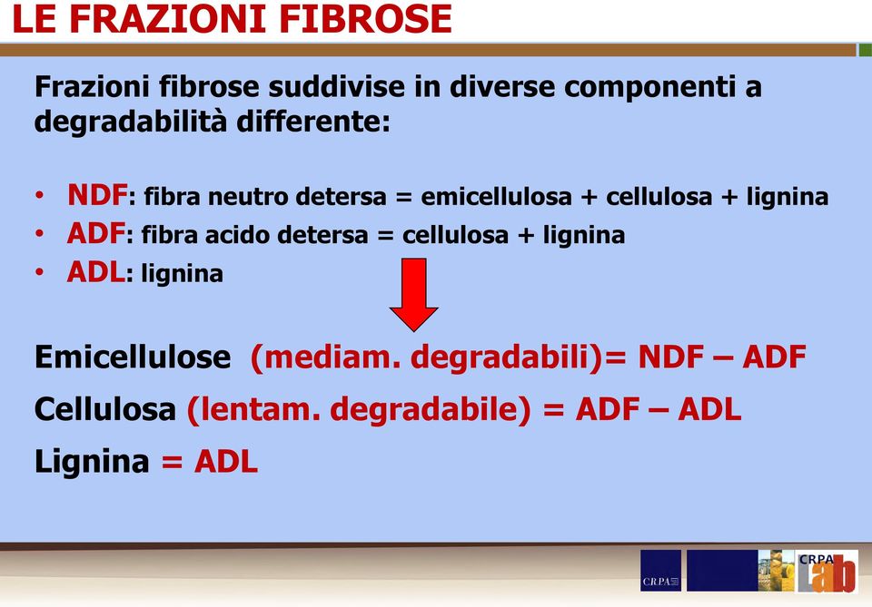 + lignina ADF: fibra acido detersa = cellulosa + lignina ADL: lignina