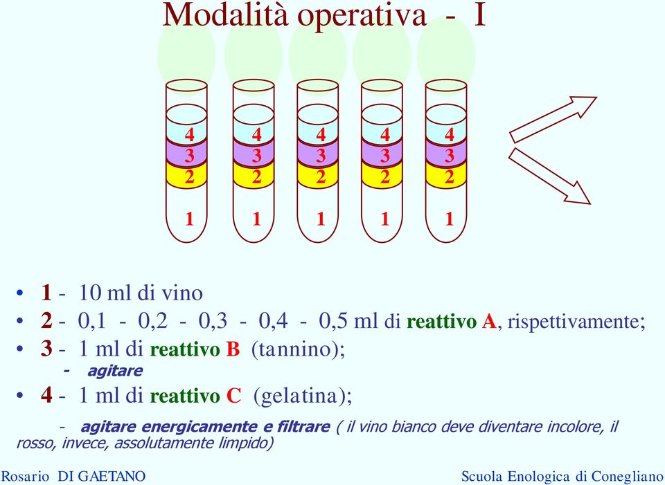 (tannino); - agitare 4-1 ml di reattivo C (gelatina); - agitare energicamente e