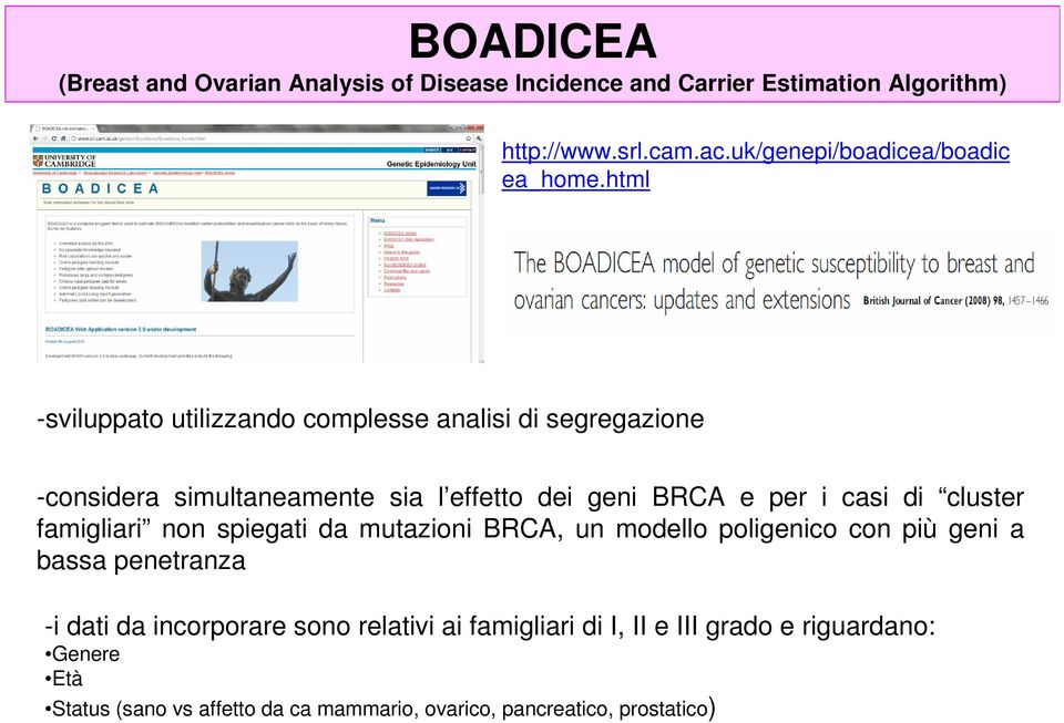 html -sviluppato utilizzando complesse analisi di segregazione -considera simultaneamente sia l effetto dei geni BRCA e per i casi di