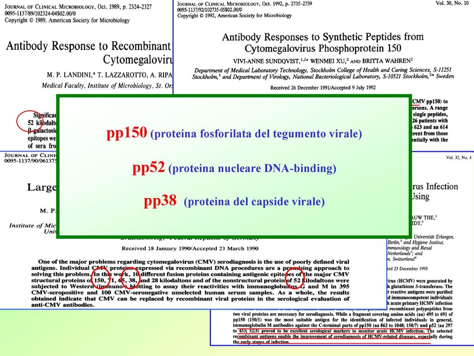 (proteina nucleare