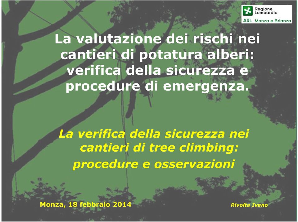 La verifica della sicurezza nei cantieri di treeclimbing: