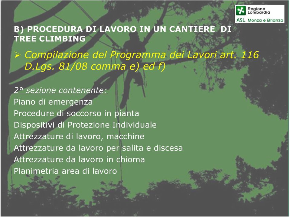 81/08 comma e) ed f) 2 sezione contenente: Piano di emergenza Procedure di soccorso in pianta