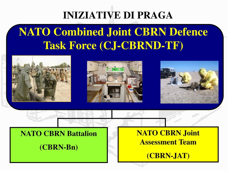(CJ-CBRND-TF) NATO CBRN Battalion