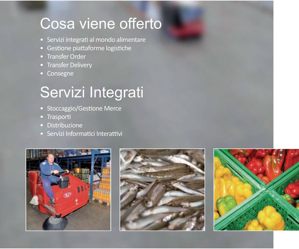 Delivery Consegne Servizi Integrati Stoccaggio/Gestione