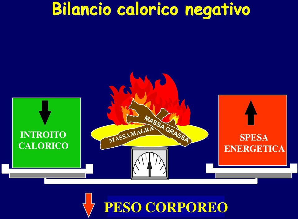 CALORICO SPESA