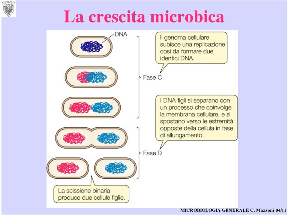 microbica