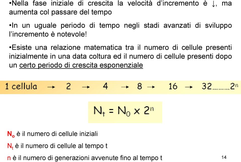 Esiste una relazione matematica tra il numero di cellule presenti inizialmente in una data coltura ed il numero di cellule