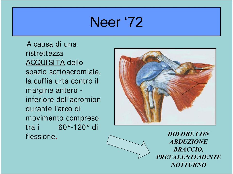 inferiore dell acromion durante l arco di movimento compreso tra