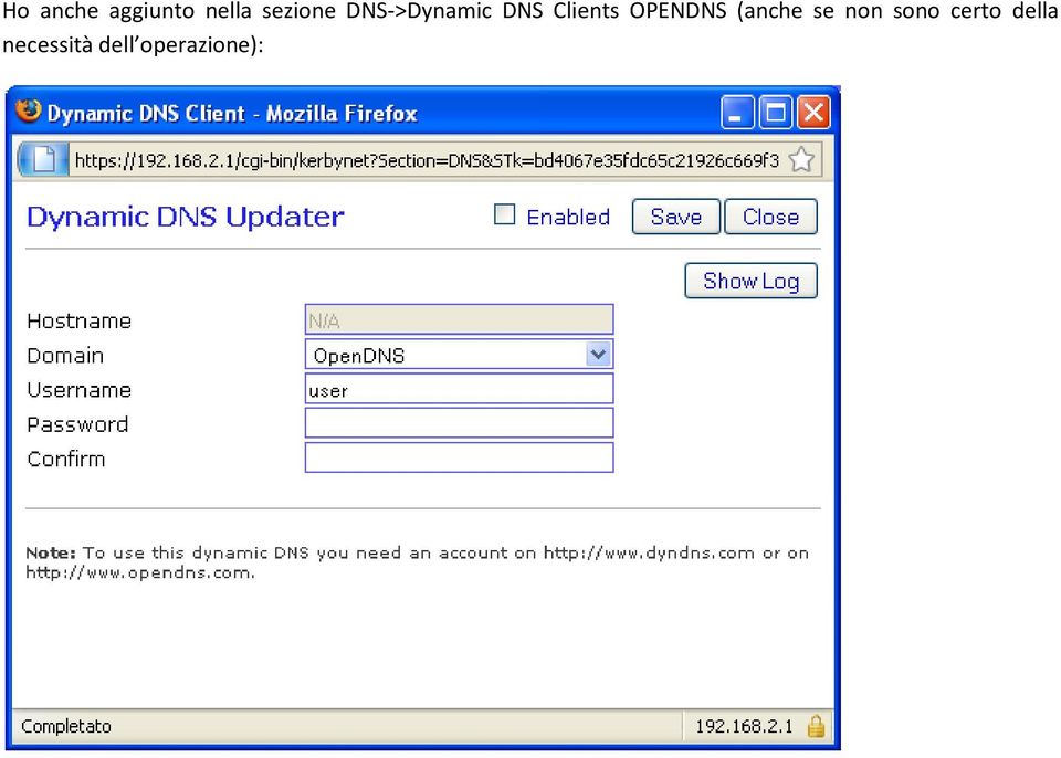 Clients OPENDNS (anche se non