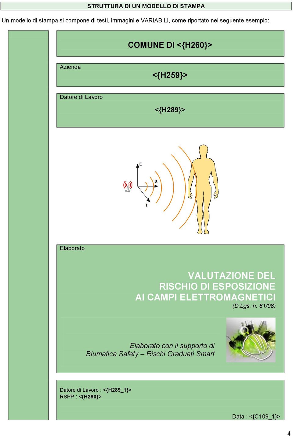 VALUTAZIONE DEL RISCHIO DI ESPOSIZIONE AI CAMPI ELETTROMAGNETICI (D.Lgs. n.