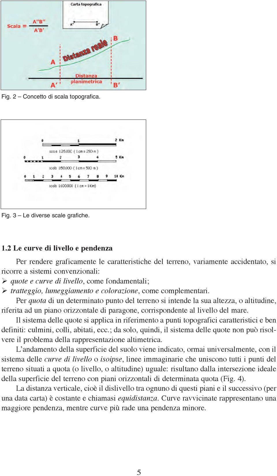 tratteggio, lumeggiamento e colorazione, come complementari.