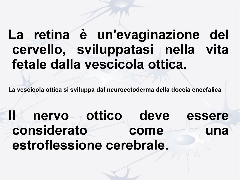 La vescicola ottica si sviluppa dal neuroectoderma della