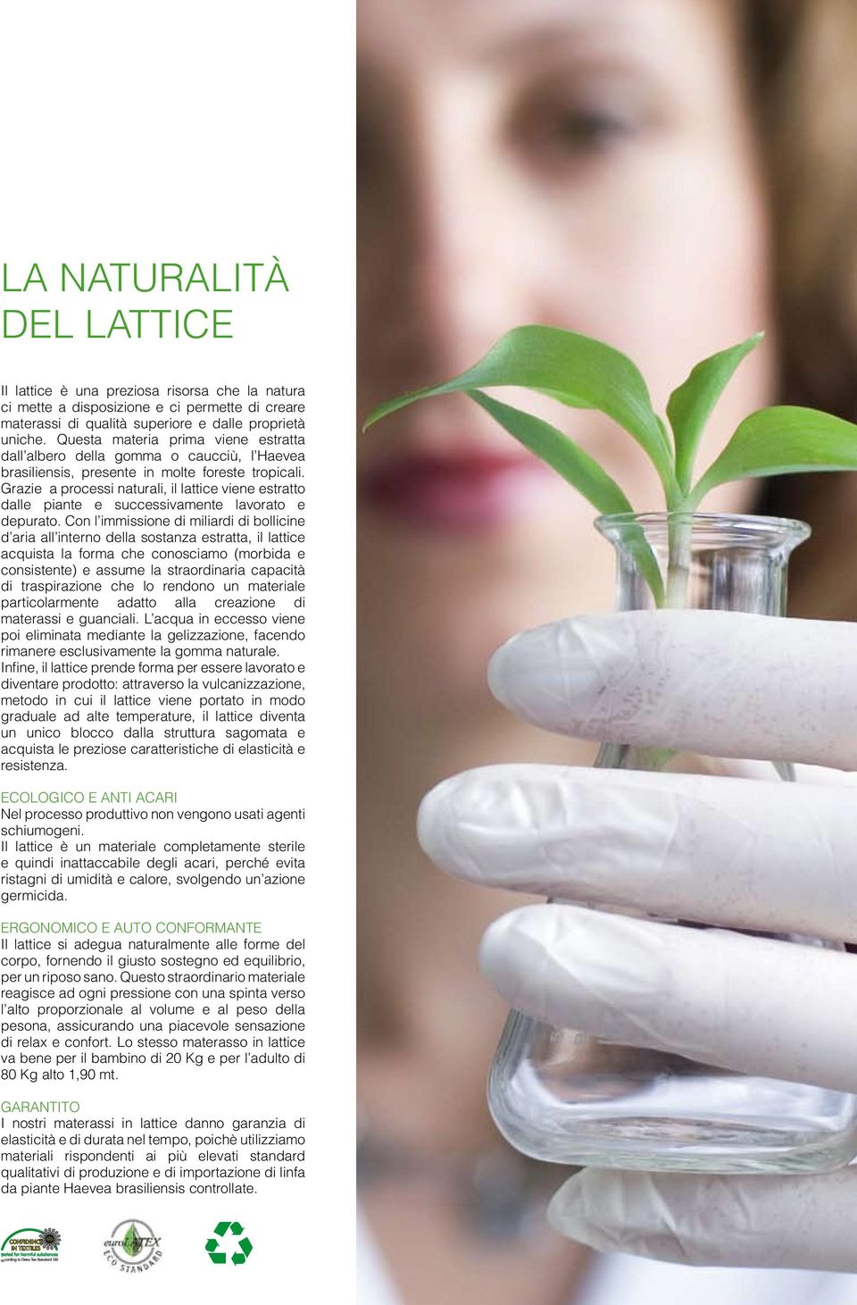 Grazie a processi naturali, il lattice viene estratto dalle piante e successivamente lavorato e depurato.