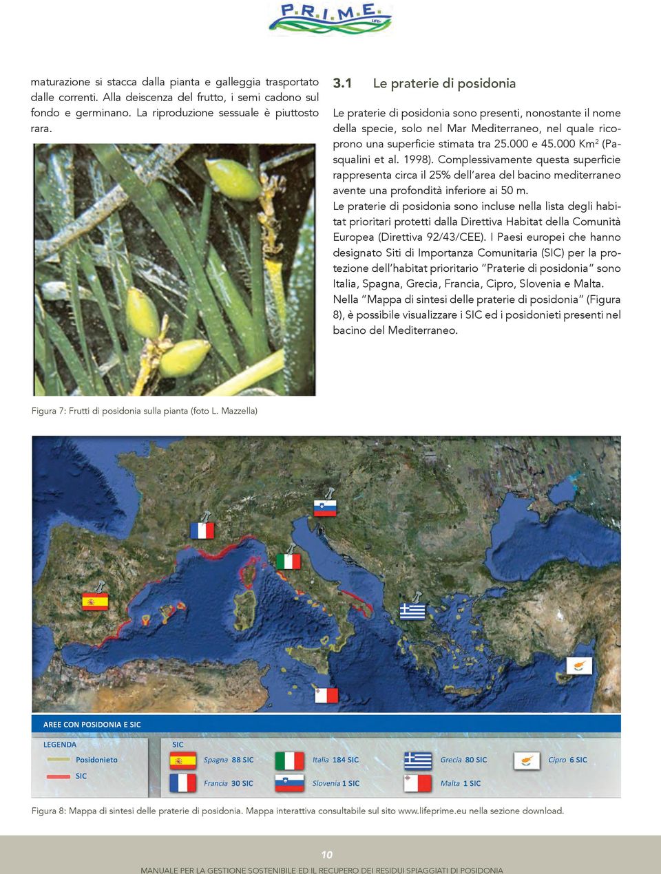 000 Km 2 (Pasqualini et al. 1998). Complessivamente questa superficie rappresenta circa il 25% dell area del bacino mediterraneo avente una profondità inferiore ai 50 m.