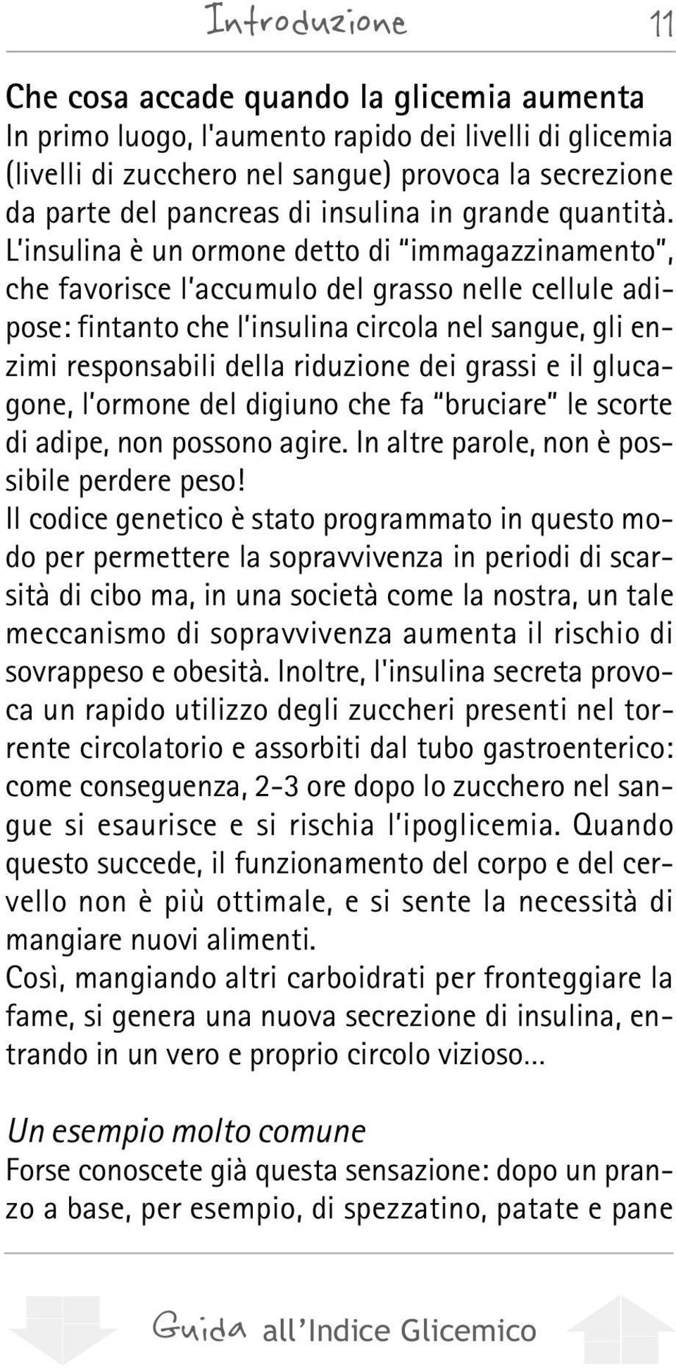 L insulina è un ormone detto di immagazzinamento, che favorisce l accumulo del grasso nelle cellule adipose: fintanto che l insulina circola nel sangue, gli enzimi responsabili della riduzione dei